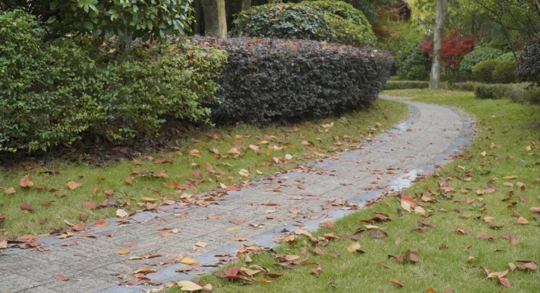 2546C